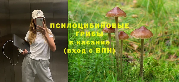 спайс Алзамай