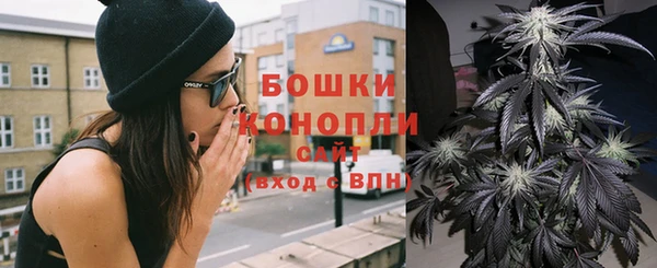 спайс Алзамай